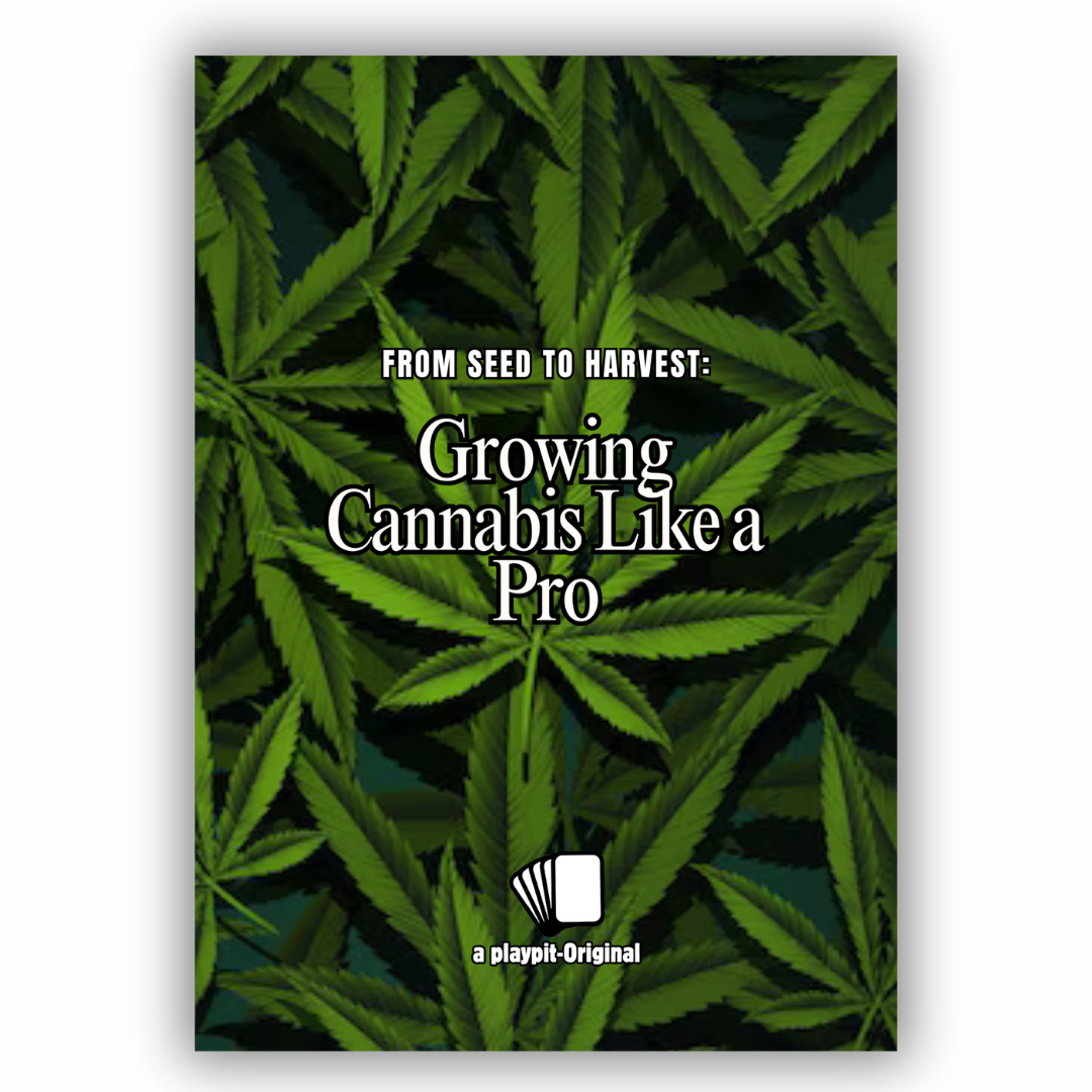 From Seed to Harvest - Growing Cannabis Like a Pro